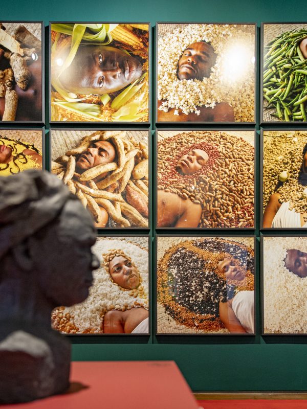 Exp.AtlanticoFloresta_CrisLucena_Alta_83